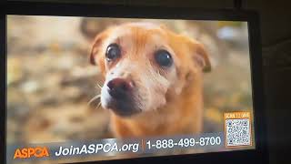 ASPCA TV commercial [upl. by Gar]