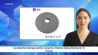 Cordierite Honeycomb Ceramic Plates Manufacturer in China [upl. by Ethelind559]