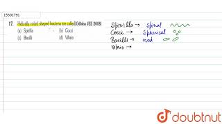 Helically coiled shaped bacteria are called [upl. by Nomal]