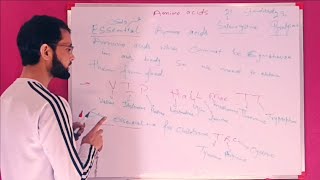 lec 2 part ll what is essential and non essential differ bw in Gluco and ketogenic amino acids [upl. by Anatnas]