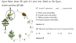 BIOLOGY GRADE 10 Unit 2 QampA [upl. by Annaeirb]