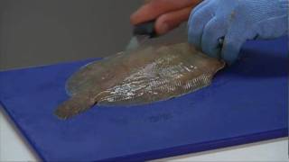 How to fillet a flat fish [upl. by Norse]