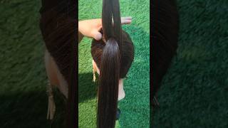 high Voluminous ponytail shortvideo hairstyle youtubeshorts hair shorts [upl. by Yenattirb]