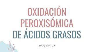 🌀OXIDACIÓN PEROXISÓMICA DE ÁCIDOS GRASOS  Lípidos [upl. by Eiraminot]