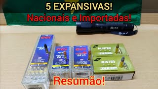 5 EXPANSIVAS 22lr  Nacionais e Importadas Stinger Velocitor SubSonic Hunter HYPER e SUBSÔNICO [upl. by Shishko613]