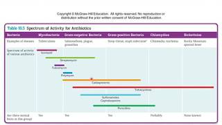 Chapter 10 Antimicrobial Drugs [upl. by Lardner]