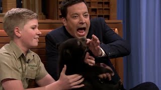 Jimmy Fallon 2017  Funny Moments 2 [upl. by Neille]