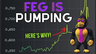 Feg Token is pumping Heres why [upl. by Muna]