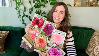 Dahlia Haul  Tips For Growing Dahlias In Containers [upl. by Kathy]