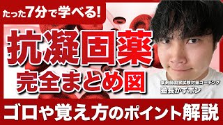 【薬剤師国家試験勉強】意外と覚えれない薬理「抗凝固薬・作用機序」を徹底解説（ゴロや覚え方）｜Vol91 [upl. by Iams]