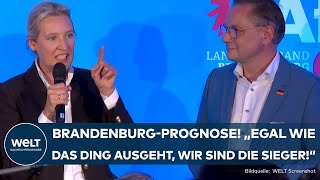 LANDTAGSWAHL IN BRANDENBURG AFD Trotz Platz 2  Chrupalla und Weidel feiern Hochrechnung [upl. by Nayrbo]