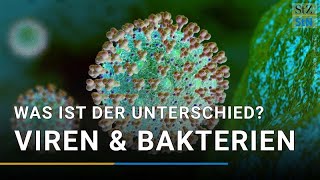 Viren oder Bakterien – wo ist der Unterschied [upl. by Cleland587]