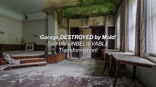 Garage Mold Remediation [upl. by Trilbi]