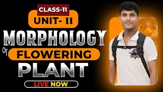 MORPHOLOGY OF FLOWERING PLANTS CLASS 11  NCERT DEEP LINES  COMPLETE NCERT FOR NEET 2025 [upl. by Akiras61]