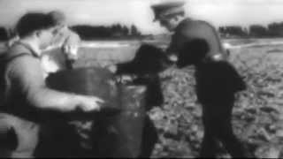 US Army newsreel Combat Bulletin 22 Operations In France etc Sept 1944 WWII full [upl. by Burbank]