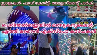 Marine Expo perinthalmanna പെരിന്തൽമണ്ണയിൽ മത്സ്യകന്യകകൾ എത്തി മറൈൻ എക്സ്പോ കാഴ്ചകൾ [upl. by Adnulahs503]