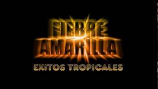 Fiebre Amarilla  Exitos Tropicalesmpg [upl. by Parrott]