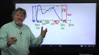 Photobiology Simplified with Dr Bruce Bugbee [upl. by Armin18]