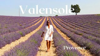 Beautiful VALENSOLE in PROVENCE Alone on a Road trip to FRENCH LAVENDER Fields 💜 [upl. by Adniuqal681]