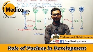 Role of Nucleus in Development  Lecture  06 [upl. by Barty]