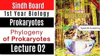 phylogeny of prokaryotes  prokaryotes  1st year biology Sindh text book board chapter 6 [upl. by Orvas339]