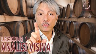 LEZ 18  CORSO DEGUST  ANALISI VISIVA DI UN VINO [upl. by Adnohser]