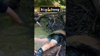 Big Dawg grabs Big Cat🐱 fishing [upl. by Sira]