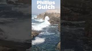 Phillips Gulch at Salt Point State Park  hiking coastalwalks [upl. by Ettelrahc]