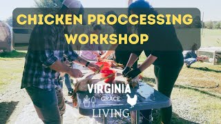 Chicken Processing Workshop  Virginia Homesteaders Butcher Meat Chickens [upl. by Adrahs786]