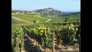 BOURGES SANCERRE Marche thierrymonicault Accordéon et chant [upl. by Atnaloj]