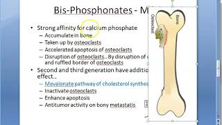 Pharmacology 386 a BisPhosphonates Osteoporosis Treatment Calcium Alendronate Etidronate Pamidronate [upl. by Arracahs]