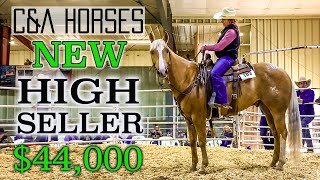 Selling 3 Horses at The Pitzer Ranch 2024 Spring Sale [upl. by Hoxsie]