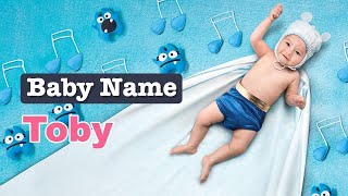 Toby  Boy Baby Name Meaning Origin and Popularity 2023 [upl. by Sucramaj230]