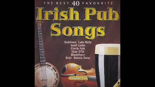 The Best 40 Favourite Irish Pub Drinking Songs  Various Artists  Over 2 Hours [upl. by Suiremed]