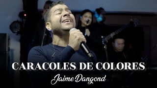 CARACOLES DE COLORES  JAIME DANGOND  En Vivo Diomedes Diaz [upl. by Atrebor894]