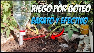 Cómo hacer un sistema de riego por goteo ecológico con una botella reciclada [upl. by Fasta976]