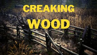 Creaking Wood Sound Effect  Deep Wood Creak [upl. by Neemsaj]