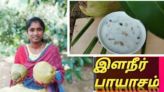 Elaneer payasam recipe in tamil  Tender coconut payasamcoconut kheer recipe in tamil [upl. by Nayra]