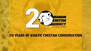 20 years of Asiatic Cheetah conservation [upl. by Kasper]