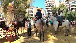 Feria Del Caballo Jerez De La Frontera 2022 [upl. by Oatis]