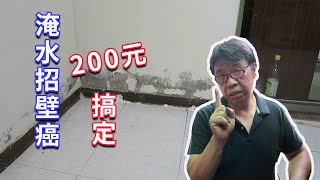 壁癌淹水後遺症其實不用怕 200元就搞定了 參考一下我們如何處理 海賊王diy日記 [upl. by Pedrick]