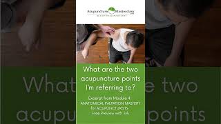 Finding the Tip of the Acromion acupuncture naturopathy acupressure acupuncturepoints [upl. by Ruben]