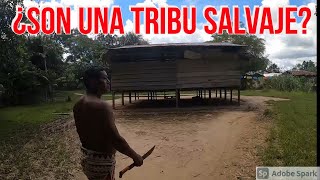 ¿CÓMO VIVE UNA TRIBU BORA EN LA SELVA PERUANA  DILO NOMÁS [upl. by Teferi919]