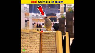 Dangerous Animals in Islam  Arslan Speaks shortsfeed facts arslanspeaks amazingfacts [upl. by Remot]