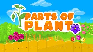 Parts of a Plant Song  Different parts of plants  Parts of a Flower Song  Kids Learning [upl. by Charmain]