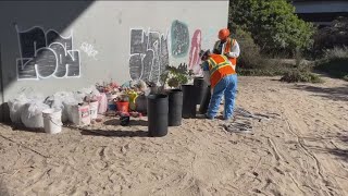 San Diego completes major cleanup of encampments under I5 [upl. by Esiuqram963]