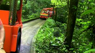 Puerto Rico Cuevas de Camuy  Camuy River Cave Park [upl. by Ok]