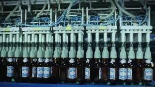 Das bierigste Bier Österreichs  So kommts in die Flasche [upl. by Woermer]