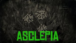 ASCLEPIA Red Dead Redemption 2 Localizacion [upl. by Nekial545]