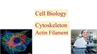 CYTOSKELETON PART 1 ACTIN FILAMENT  In detail  CSIR net DBT  ICMR  IIT JAM  GATE [upl. by Brittni]